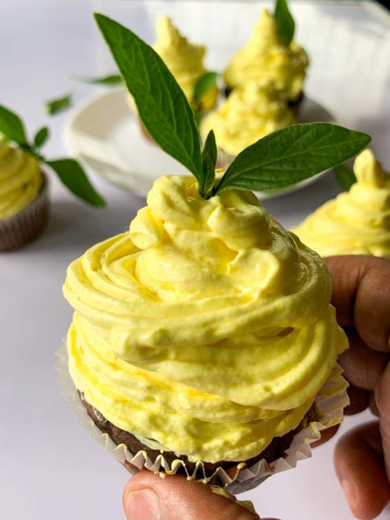 Chocolate Cupcake with Lemon Buttercream Frosting
