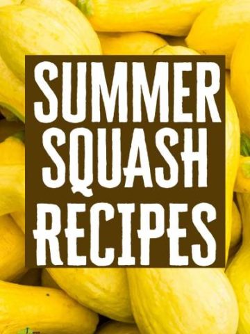 Summer Squash recipes