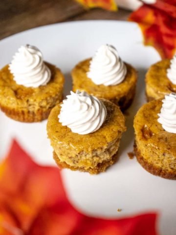 Mini Pumpkin Cheesecake with Gingersnap Crust in a Muffin Pan