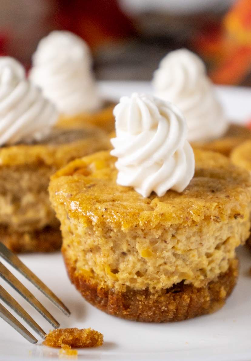 Pumpkin Cheesecake Crust Recipe