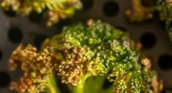 air fryed broccoli