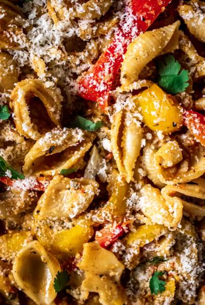 Roasted Red Pepper Shell Pasta close view