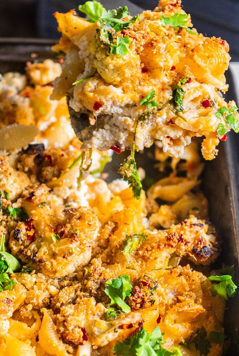 Cheesy Baked Shells and Cauliflower with three cheese