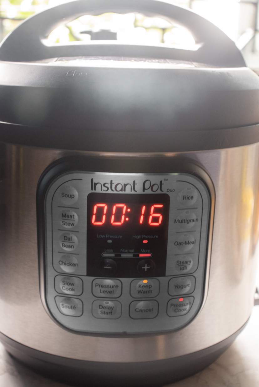 instant pot pressure cooking 