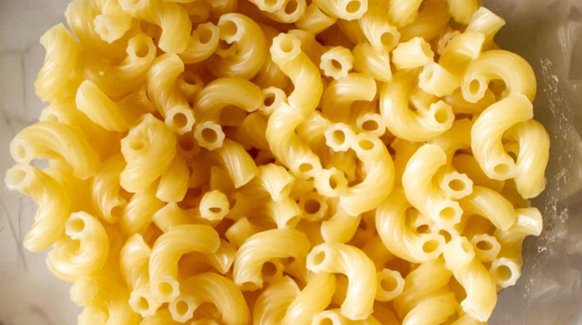 cooked elbow macaroni pasta