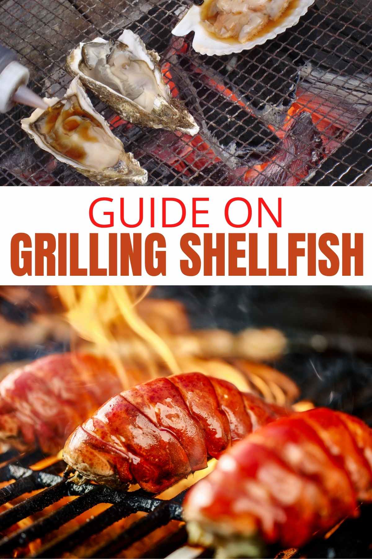 GUIDE ON GRILLING SHELLFISH