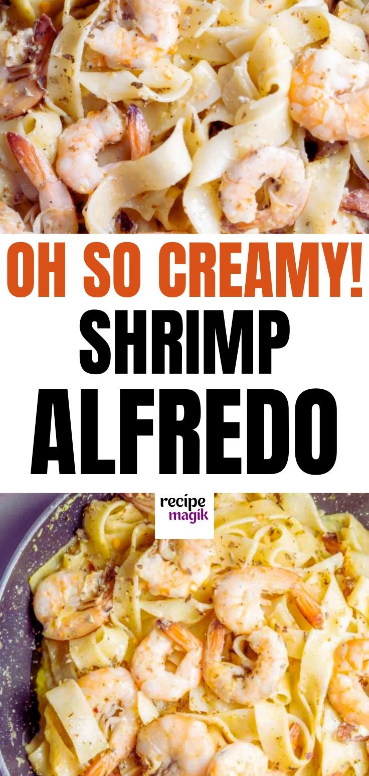 creamy shrimp alfredo