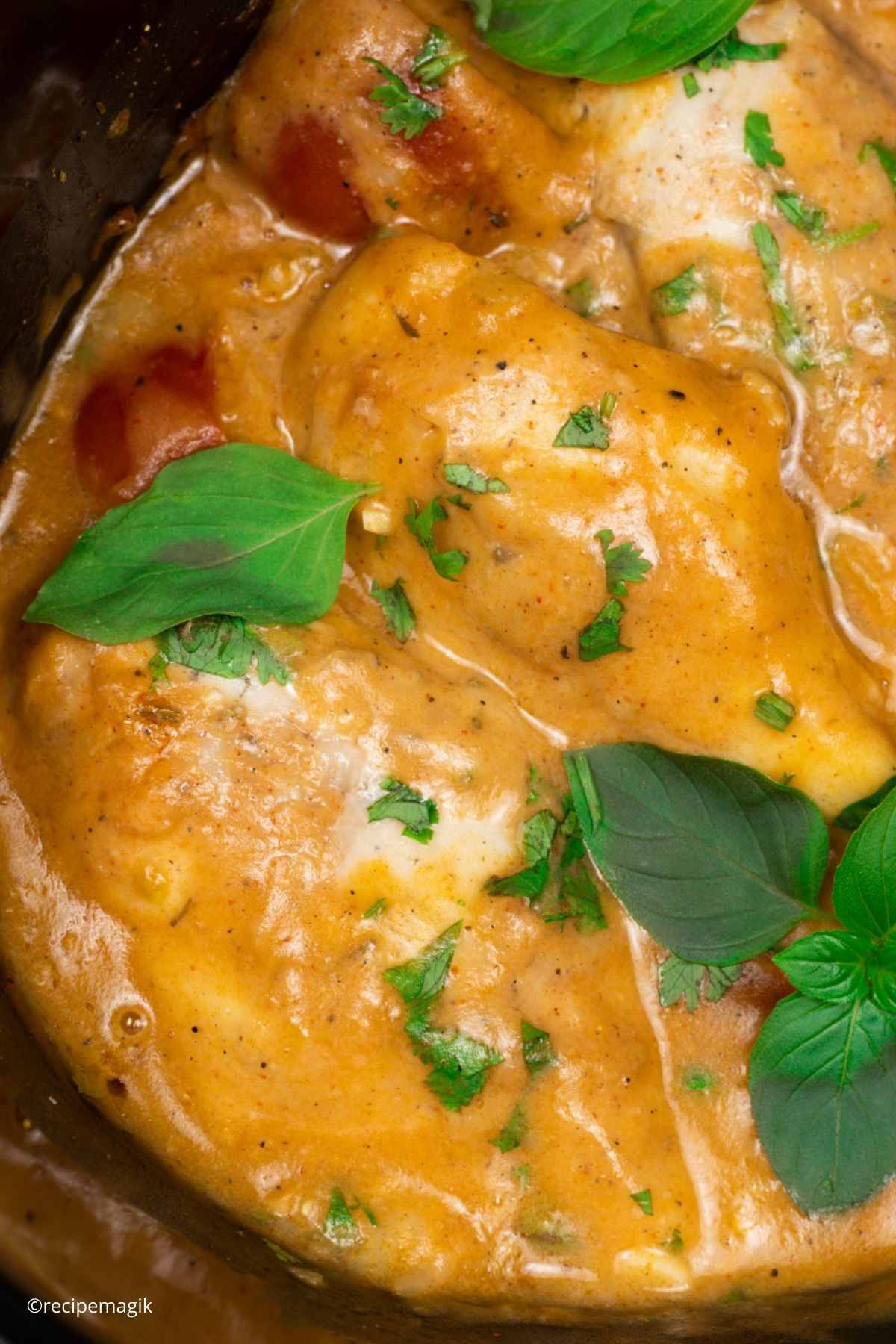 creamy gravy with chicken breasts garnished with fresh basil 