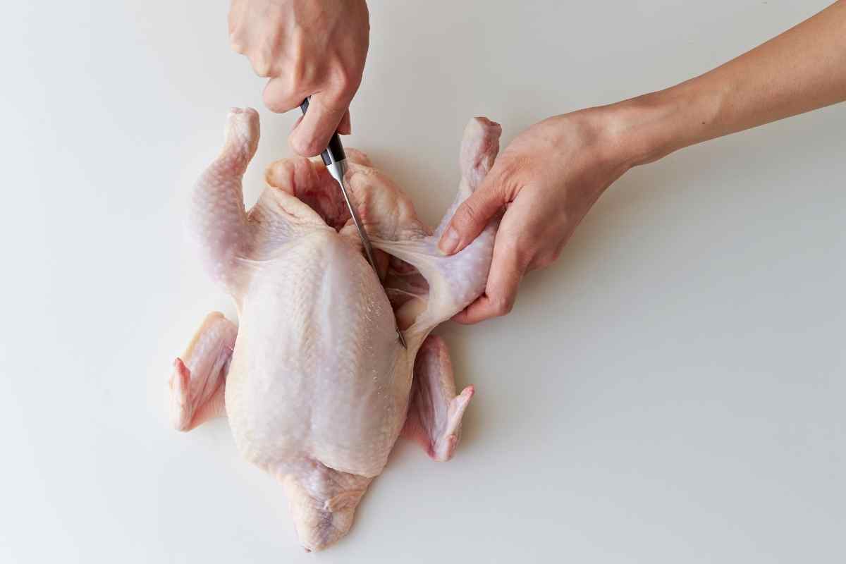 pulling out the leg pieces and thigh pieces from whole chicken