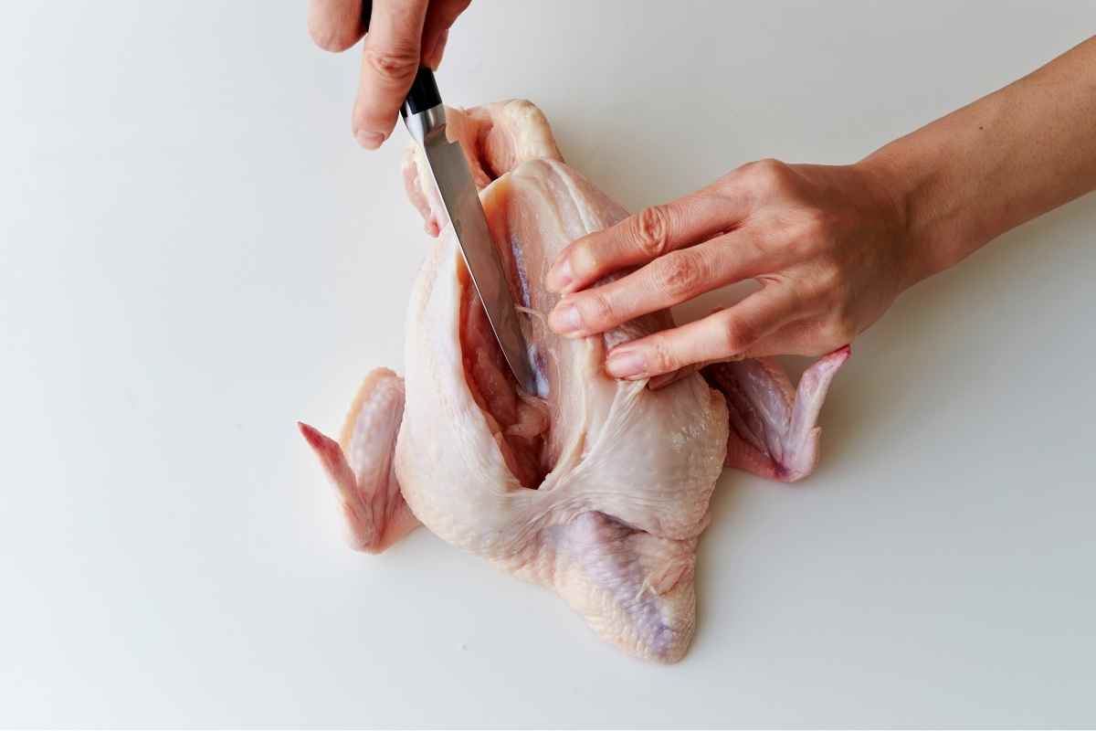 cutting the breast pieces of chicken