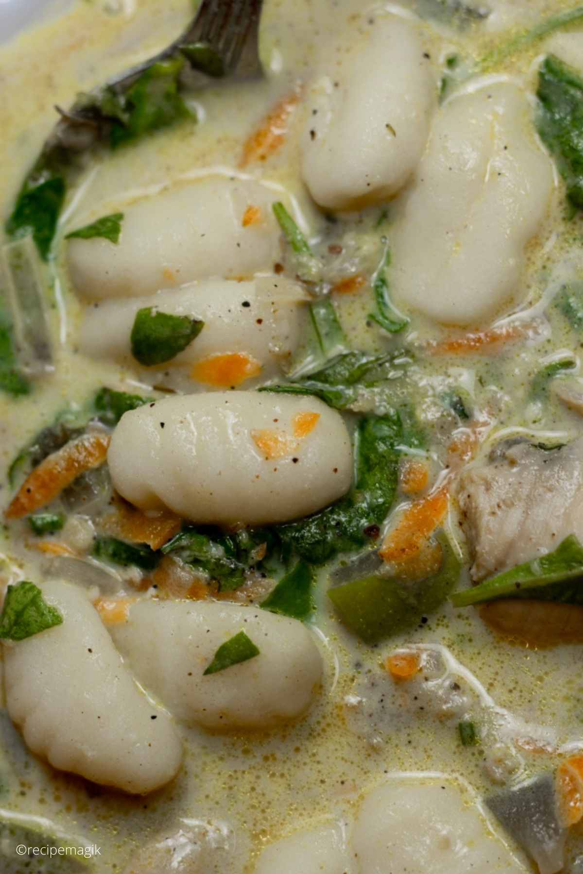 chicken and gnocchi soup closeup