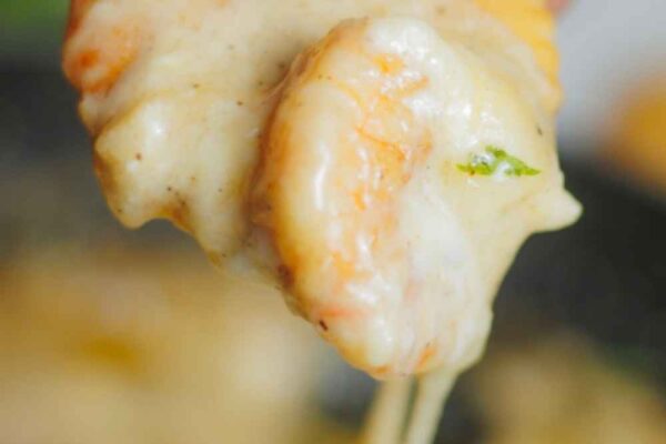 closeup of shrimp dip in a cracker