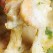 cheesy pull of shrimp dip with cracker
