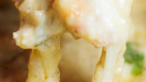 cheesy pull of shrimp dip with cracker