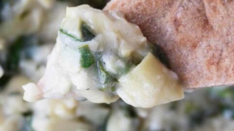 pita chip with spinach and artichoke dip