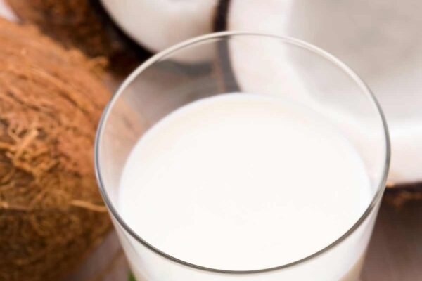 homemade coconut milk in a glass