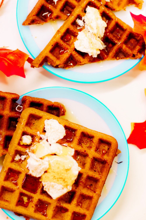 Pumpkin waffles on a plate with whipped cream on top and drizzling maple syrup on top