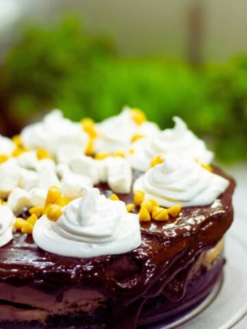 Hot Chocolate Cheesecake