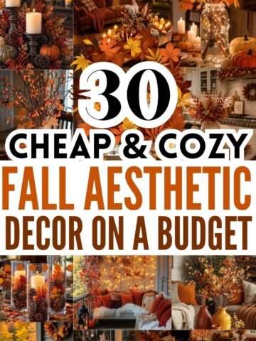 Cheap and Cosy Fall aesthetic decor on a budget